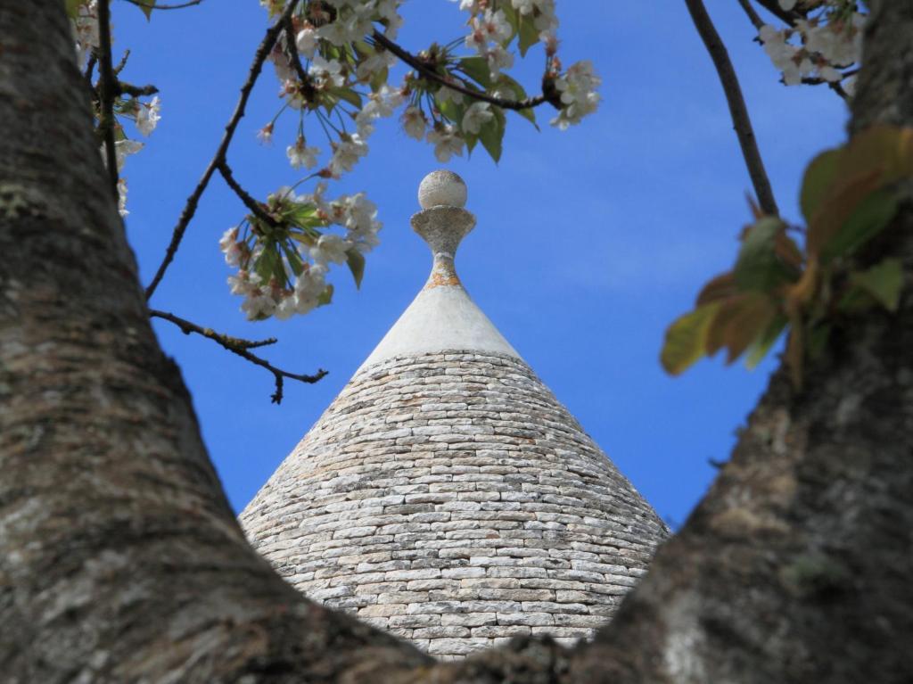 Pietraluce Guest House Alberobello Exterior foto